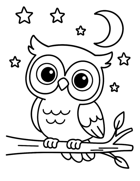 Cartoon owl with large eyes sits on a tree branch under a crescent moon and stars, in a black and white drawing.
